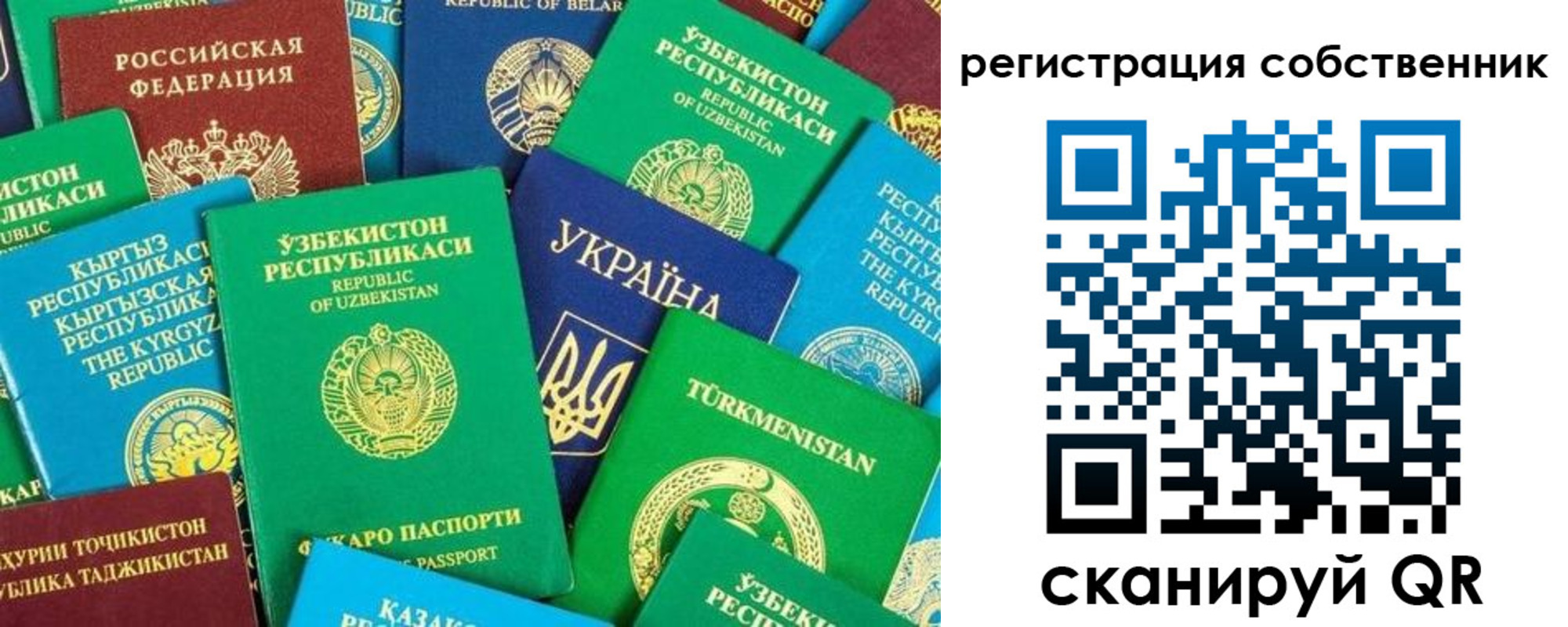 прописка в Россоши